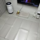 요세라코리아 | 네이버 펫 바우처 사용법과 디팡 강아지 러그 매트 구매후기