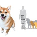 루이몽 - 서초구 신반포로41길 10 | 루이몽