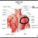 터미널 휘트니스 이미지