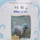 회자정리 이미지