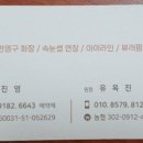 시스터(SISTER