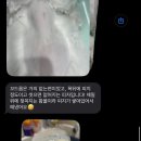 대구 고양이 미용 밀꼬냥 이미지