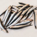 바다슈퍼 이미지