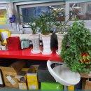 금호카센터 이미지