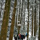 물영아리오름 이미지