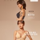 케어웨어 | 여자속옷 구독경제 서비스, 인더웨어 <월간가슴> 후기