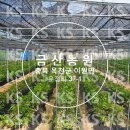태산방제 이미지