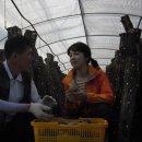 다대농장 이미지