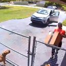 아마존펫 이미지