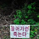 대인문구 이미지