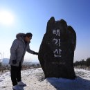 태기산정육점