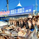 통영고등어회