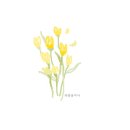 31140-5-25-4 이미지