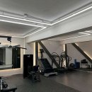 피티바이패스 이미지