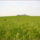 윤용하 농장 이미지