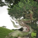 한담공원 이미지