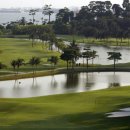 베스트골프 이미지