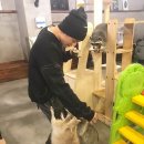 알콩달콩 이미지