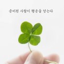 행운의료기 이미지