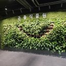서울숲길 | 주말 아이와 가볼 만한 곳 서울숲 나들이 후기
