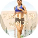 컴벳다이어트짐 이미지