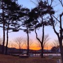 금산인삼골오토캠핑장 케이에스피뉴스