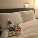 딸기밭 부농 | 부농갱🐶의 호캉스 | 신라스테이 시그니처 베어와 키친 205 딸기밭케이크