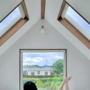 둘하루방 이미지