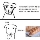 케이스하우스