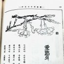 조광 1941년(7) - 경산화백 홍우백 삽화 이미지