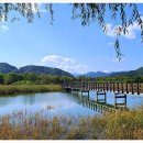 한반도섬 이미지