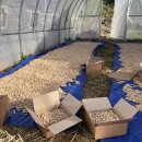 은행나무 경로당 이미지