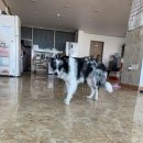 망양스쿠버리조트