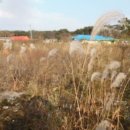 일부1리 거산 이미지