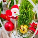 돈암병설유치원 이미지