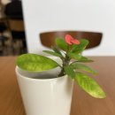 토지연구소 공인중개사사무소 이미지