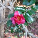 거제어촌민속전시관 이미지