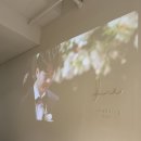 리진 | W3. 르웨딩 플래너 추천 계약후기 / 르웨딩 리진실장님 ♥