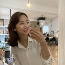 르벨로헤어 이미지