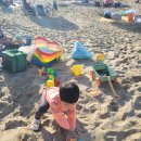 방아머리 이미지