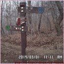 금북정맥2구간 북진종주:부수문이고개~학동장고개~성대저수지=약15.0km 이미지