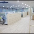 새결의원 이미지