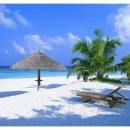 웰빙여행 이미지