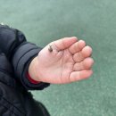 달팽이어린이공원 이미지