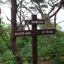 여주-0731 이미지