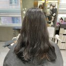 아우라컬러 이미지