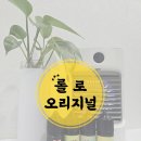 롤로멀티샵
