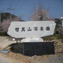 지리산석대원 Daum카페