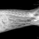 리더스병원 화장실 이미지