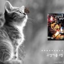 제일무도장 이미지